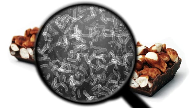 Searching for bacteria in sweets,Searching for bacteria in sweets