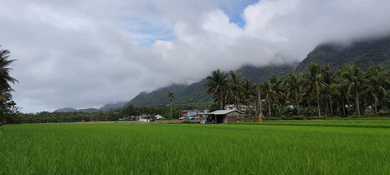 The Duli Beach (land of the sky), Taitung enjoys the beautiful coastline of Taitung, Taiwan