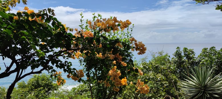 The Jinzun, Donghe Township, Taitung County, overlooking the beautiful coastline of Taitung, Taiwan