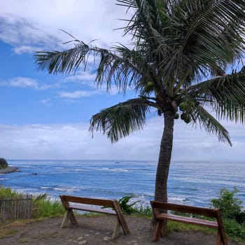 The Cape Coffee, Taitung, overlooking the beautiful coastline of Taitung, Taiwan