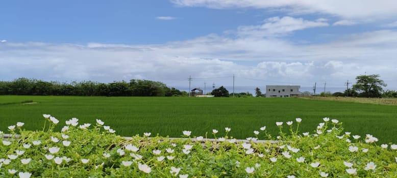 The Dulan Sea Viewing Platform, Taitung, enjoy the beautiful coastline of Taitung