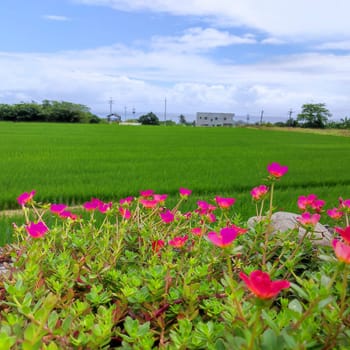 The Dulan Sea Viewing Platform, Taitung, enjoy the beautiful coastline of Taitung