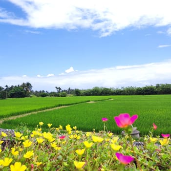 The Dulan Sea Viewing Platform, Taitung, enjoy the beautiful coastline of Taitung