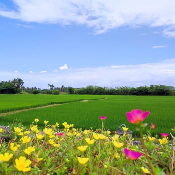 The Dulan Sea Viewing Platform, Taitung, enjoy the beautiful coastline of Taitung