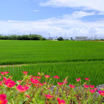 The Dulan Sea Viewing Platform, Taitung, enjoy the beautiful coastline of Taitung