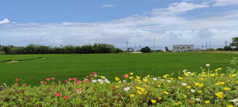 The Dulan Sea Viewing Platform, Taitung, enjoy the beautiful coastline of Taitung