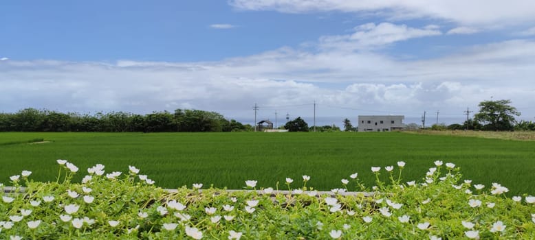 The Dulan Sea Viewing Platform, Taitung, enjoy the beautiful coastline of Taitung