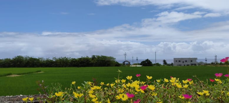 The Dulan Sea Viewing Platform, Taitung, enjoy the beautiful coastline of Taitung