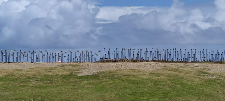 The Jialulan Recreation Area, Taitung enjoys the beautiful coastline of Taitung
