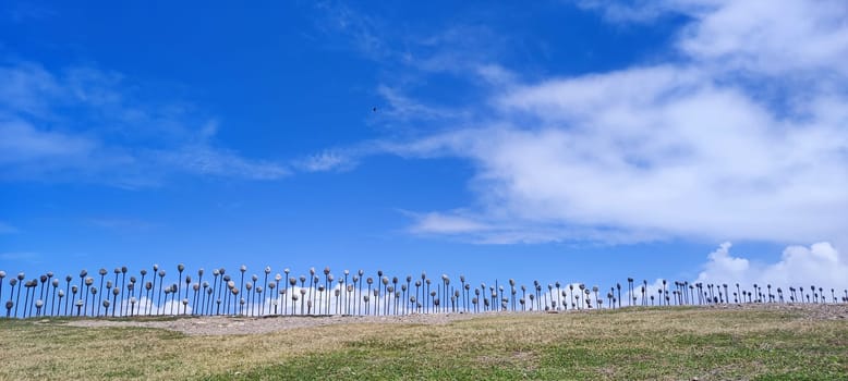 The Jialulan Recreation Area, Taitung enjoys the beautiful coastline of Taitung