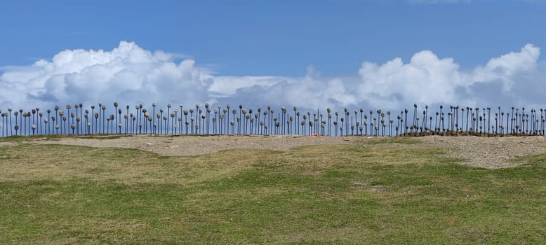 The Jialulan Recreation Area, Taitung enjoys the beautiful coastline of Taitung