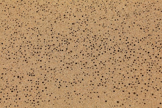 Wet sand on the beach, drying water left tiny holes. Abstract marine nature background.