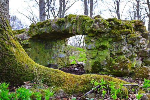 The Wildenberg castle ruins are a sight in the Sulzfeld municipality
