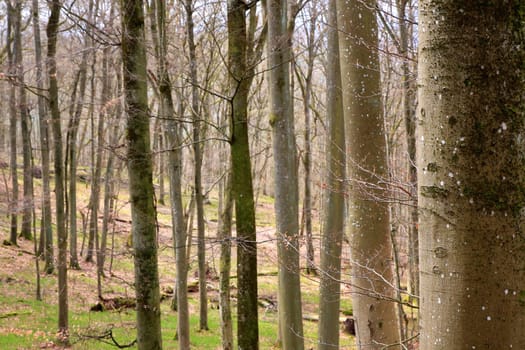 The Wildenberg castle ruins are a sight in the Sulzfeld municipality