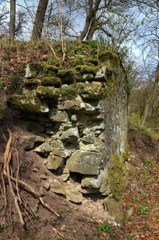 The Wildenberg castle ruins are a sight in the Sulzfeld municipality