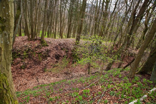 The Wildenberg castle ruins are a sight in the Sulzfeld municipality