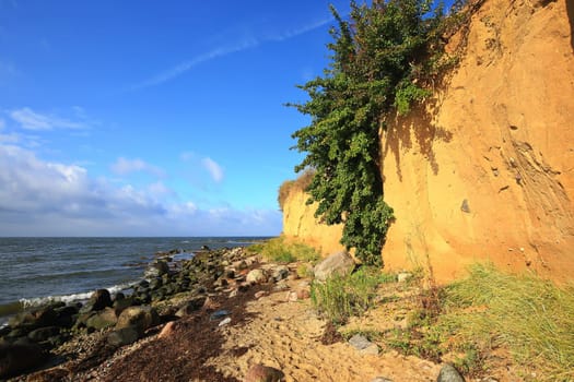 Klein Zicker dreamy landscape on the Baltic Sea island of Rügen