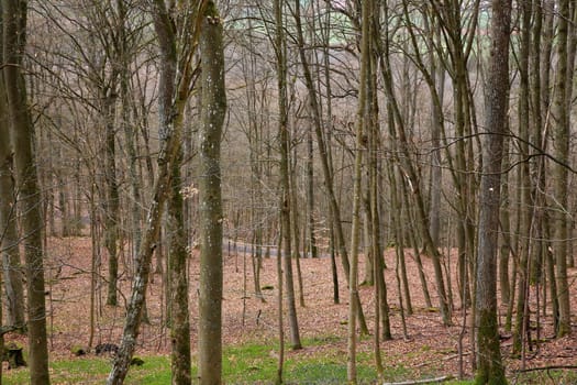 The Wildenberg castle ruins are a sight in the Sulzfeld municipality