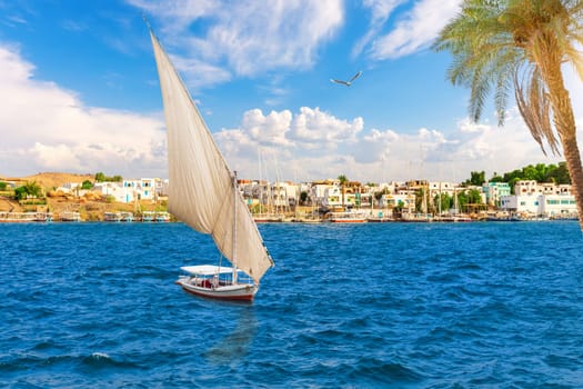 Sailboats in the Nile in front of Traditional buildings, Asuan, Egypt.