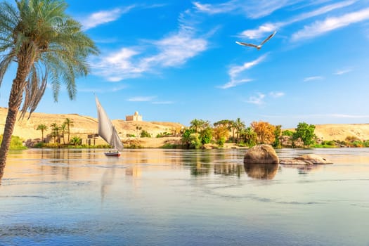 The Nile river picturesque scenery, Aswan city, Egypt.