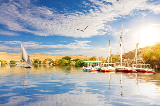 Sailboats in the Nile at sunny day, Asuan, Egypt.