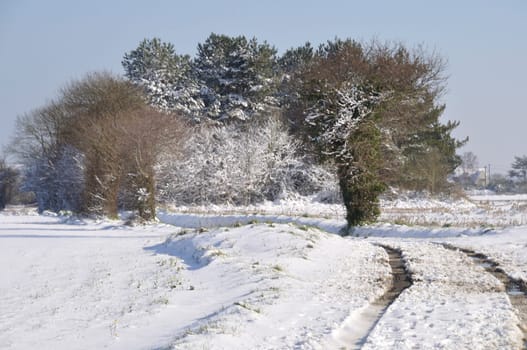 Path under the snow in Brittany