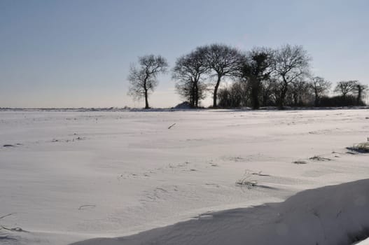 Fields under the snow in Brittany