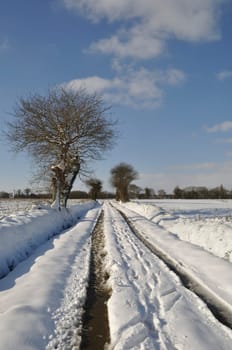 Path under the snow in Brittany