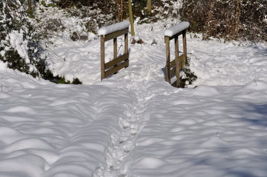 Path under the snow in Brittany