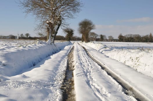 Path under the snow in Brittany