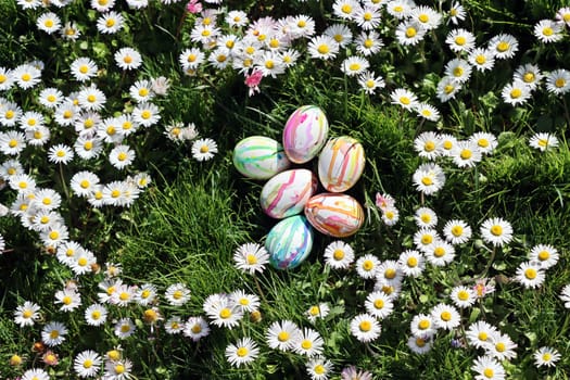 handbemalte Ostereier zwischen Gänseblümchen auf einer Wiese, Nordrhein-Westfalen, Deutschland, Weilerswist