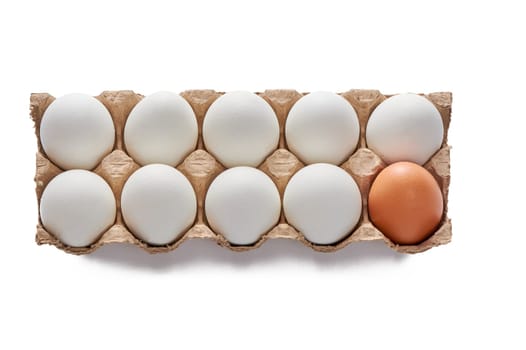 Nine white and one colored eggs on a cardboard stand on a white isolated background, copy space. High quality photo