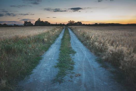 Dirt road through the fields with grain, evening view