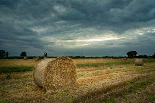 Hay bales in the field and cloudy sky, Nowiny, Lubelskie, Poland