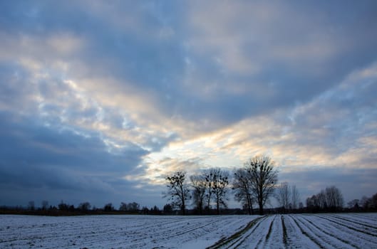 Snow on the field with trees and a landscape of clouds, Zarzecze, Poland