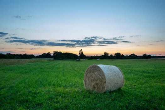 A hay bale lying in the meadow, summer evening