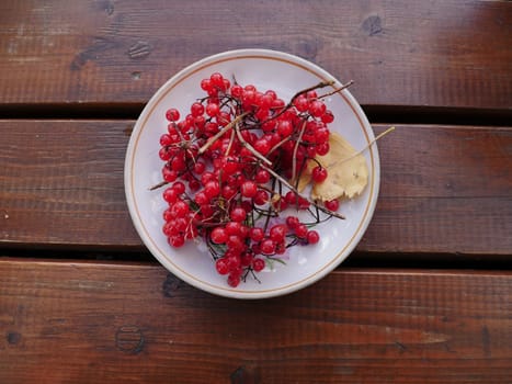 red ripe fruits of viburnum berries on a plate in autumn
