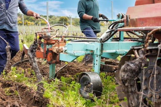 Farmer drives the plow while plowing the vineyard with the crawler tractor. Agricultural industry, winery.