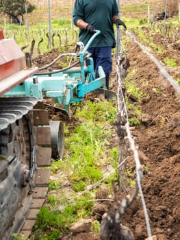 Farmer drives the plow while plowing the vineyard with the crawler tractor. Agricultural industry, winery.