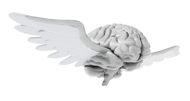 Flying brain with white wings. 3D illustration.