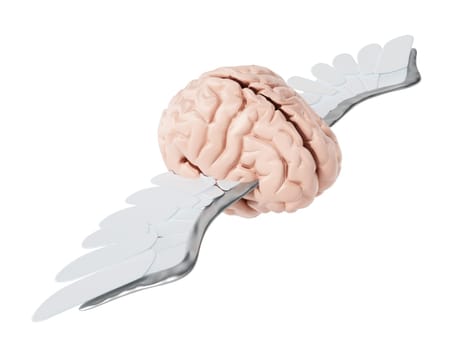 Flying brain with white wings. 3D illustration.