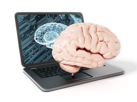 Brain standing on laptop computer keyboard. 3D illustration.