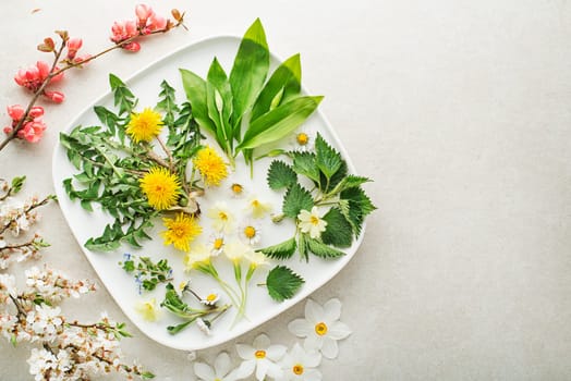 Wild garlic, nettle, dandelion, ground and other medicinal herbs and wild edible plants growing in early spring. Spring background with blossom, flowers and herb plants