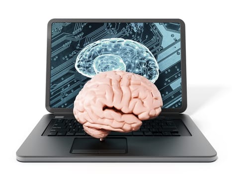 Brain standing on laptop computer keyboard. 3D illustration.