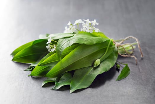 Ramson, bunch of wild garlic on grey background closeup