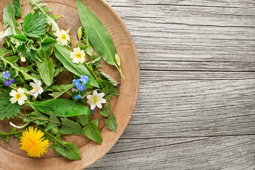 Healthy spring food ingredients. Dandelion, wild garlic and nettle in plate