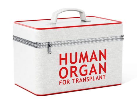 Human organ for transplant box. 3D illustration.