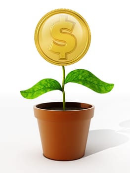 Gold coin with dollar sign on the flower pot. 3D illustration.