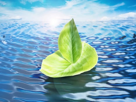 Green leaves forming a ship floating on sea level. 3D illustration.