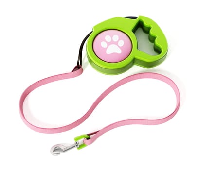 Dog collar isolated on white background. 3D illustration.